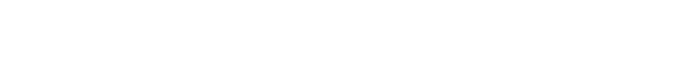 Diamond Sponsors