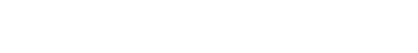 silver Sponsors